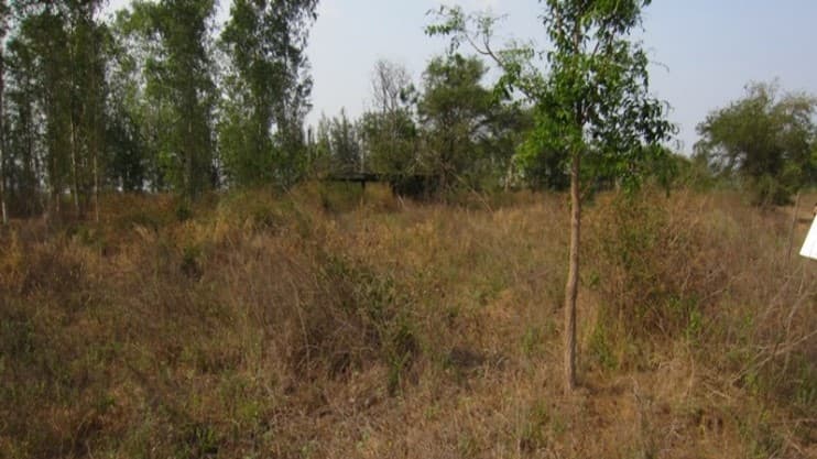 Picture4.jpg