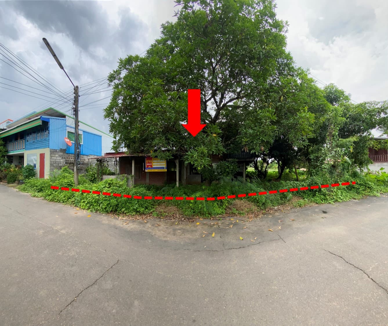 รูปภาพ31.jpg