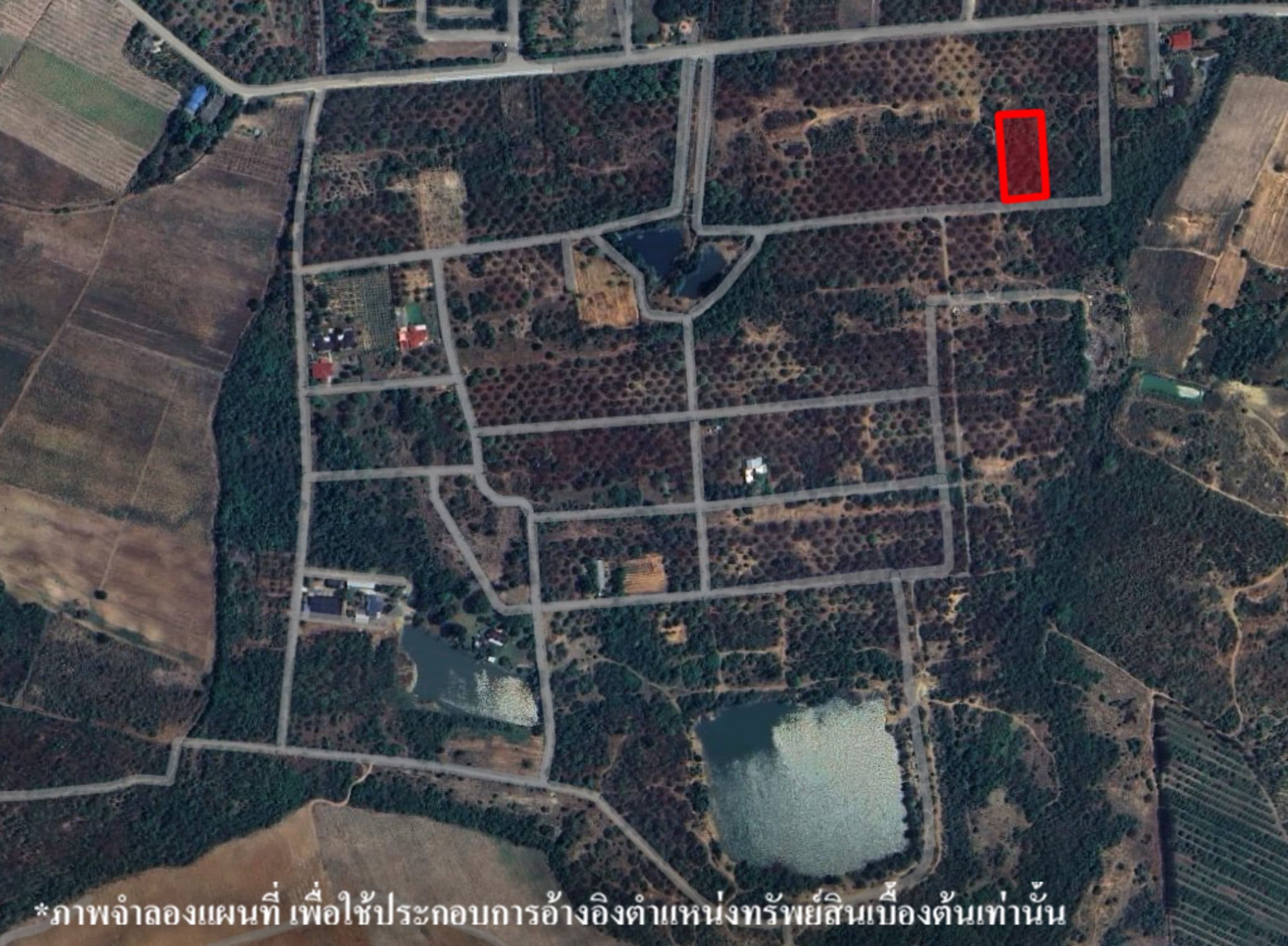 image (542).png