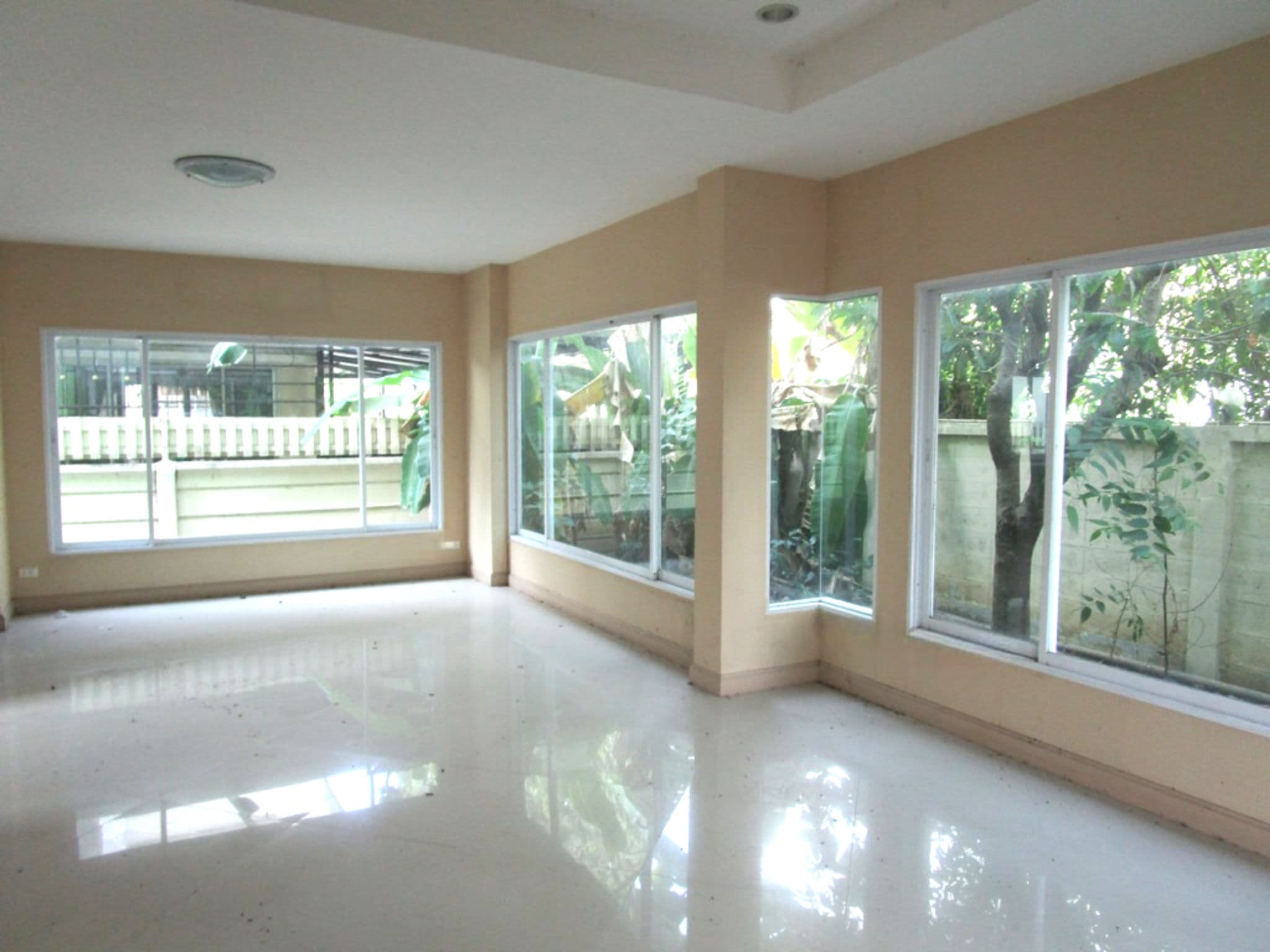 image (71).png