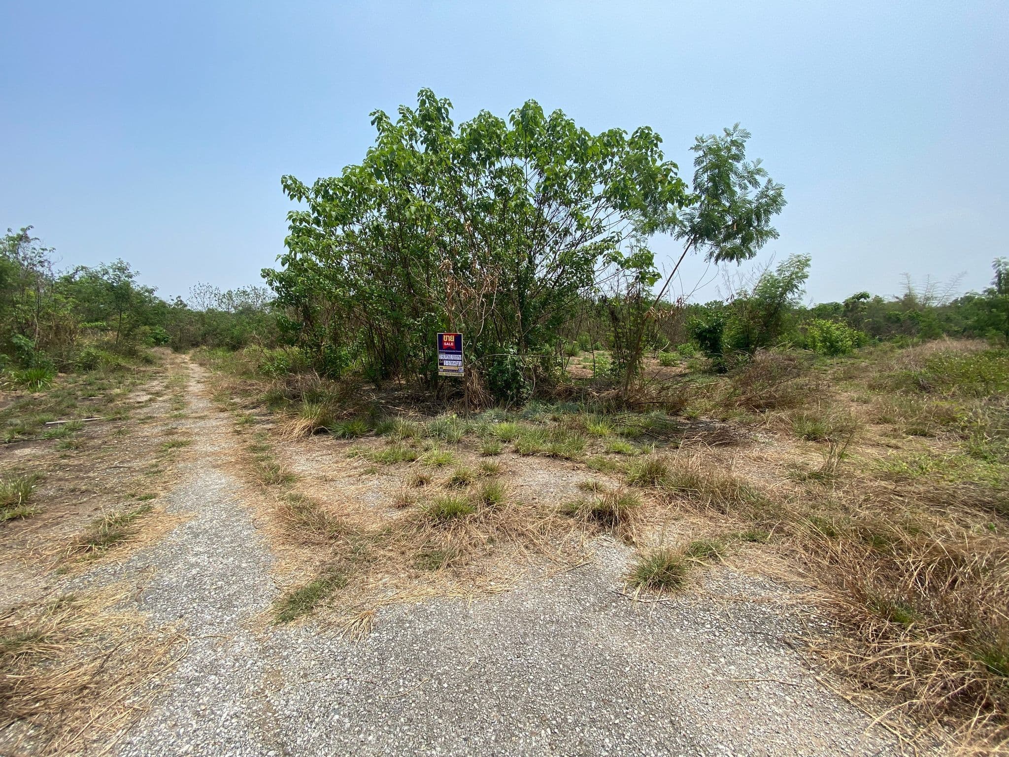 IMG_0863.JPG