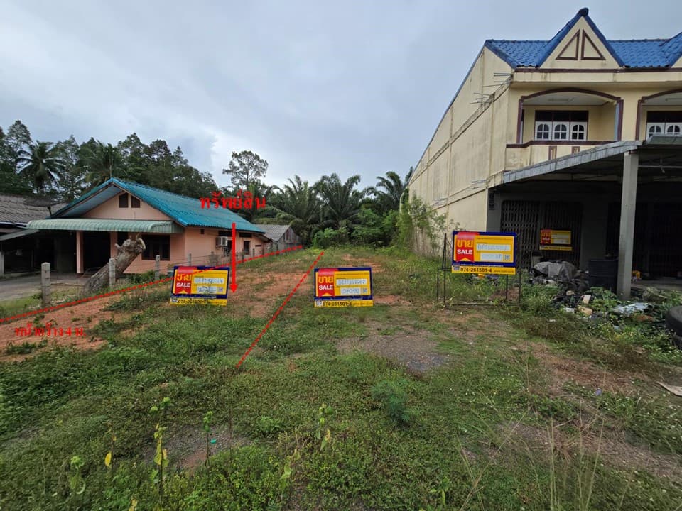 สไลด์2.JPG