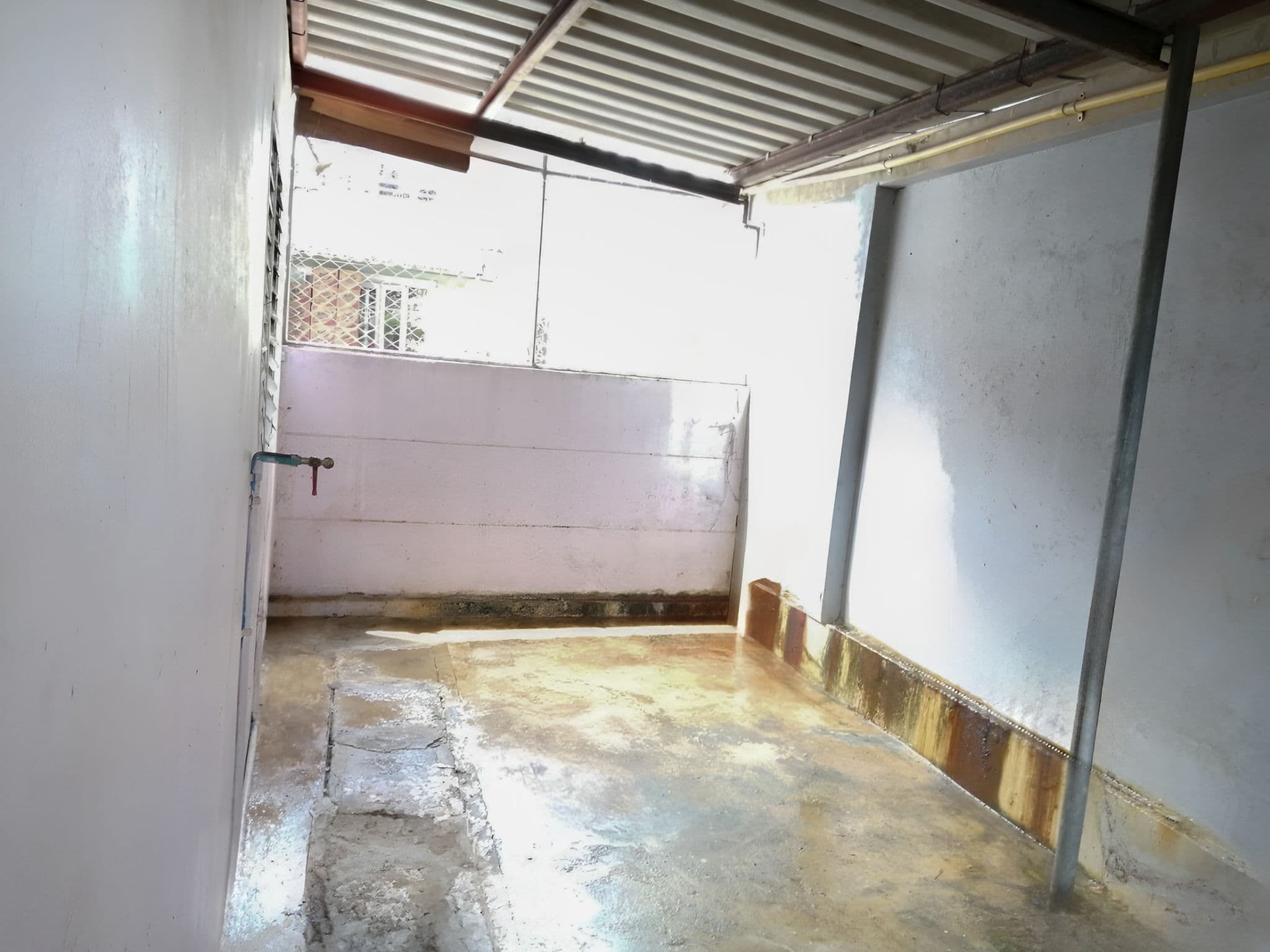 36b6ff4d-1655981400817.jpg