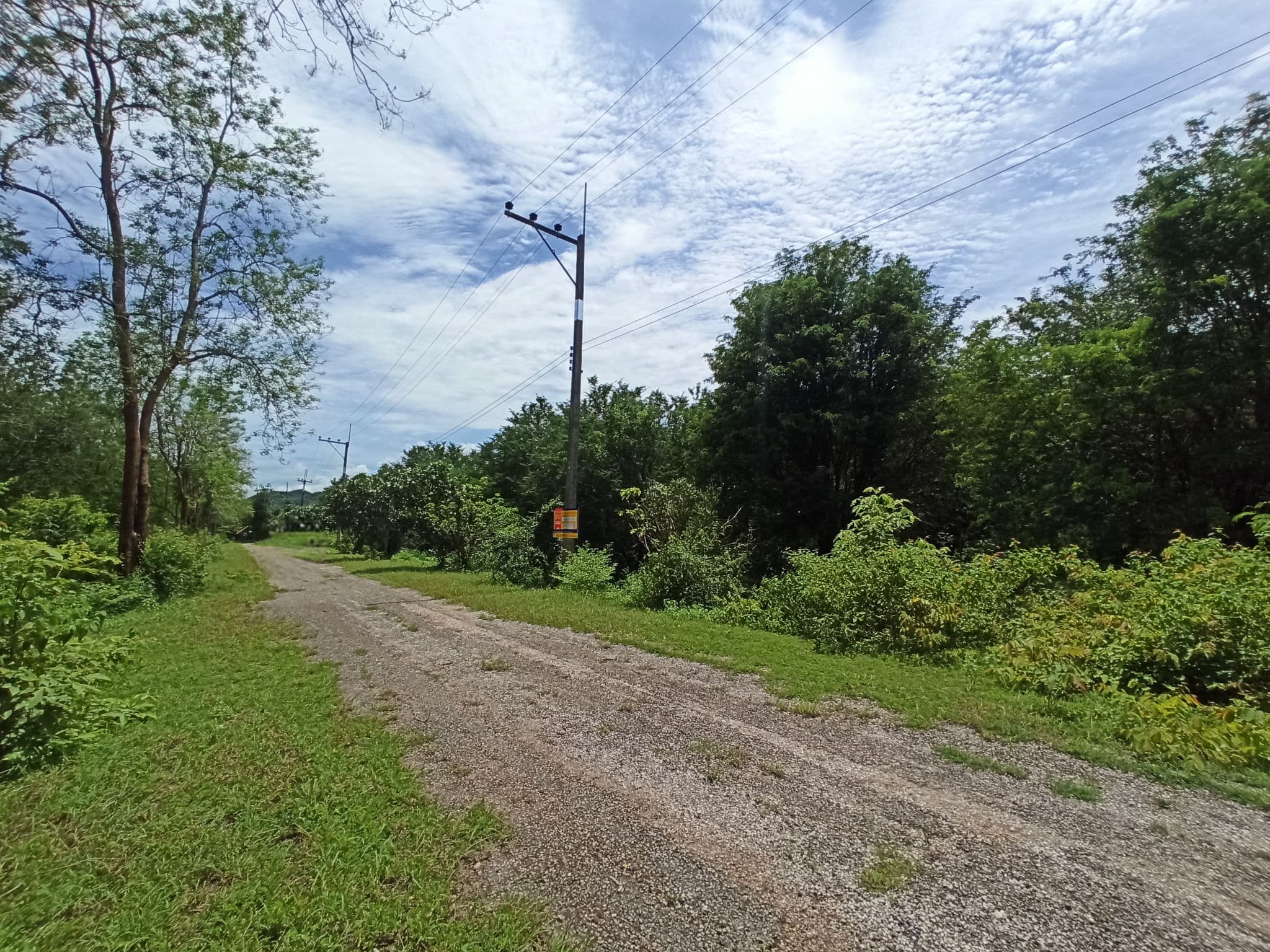97e33d48-41484-5.jpg