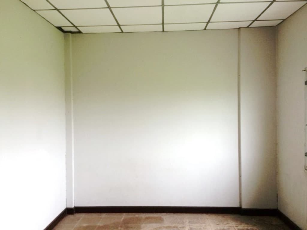 S__56311822.jpg