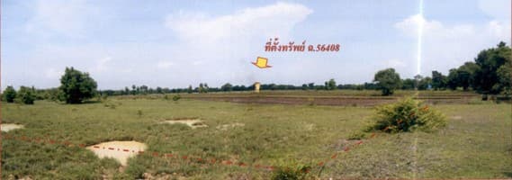 56408.jpg