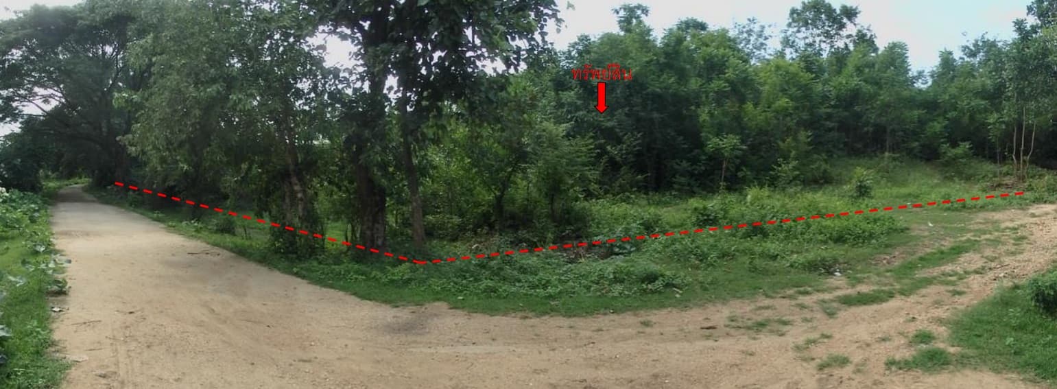 รูปใหม่1.jpg