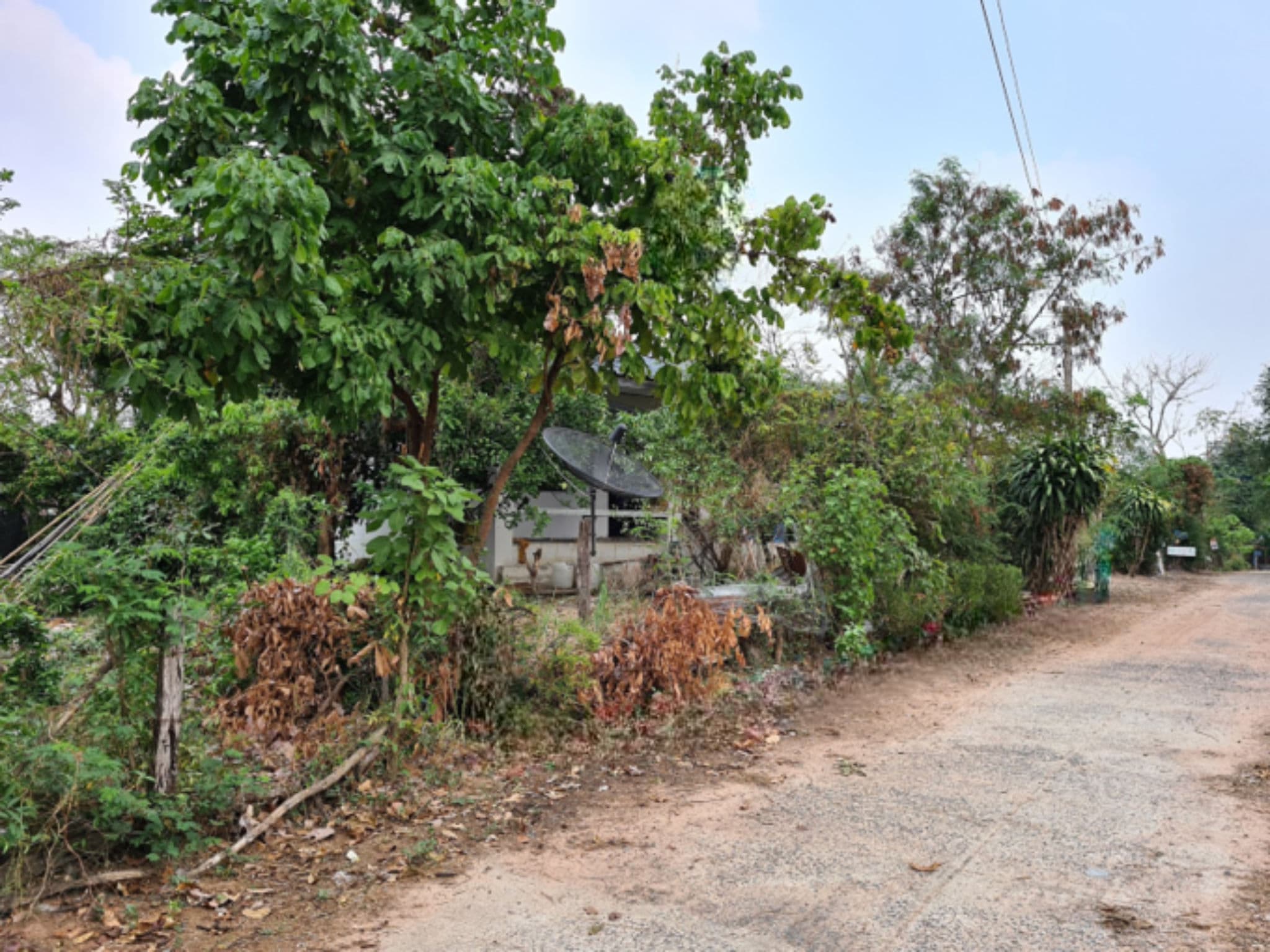 image (4).png
