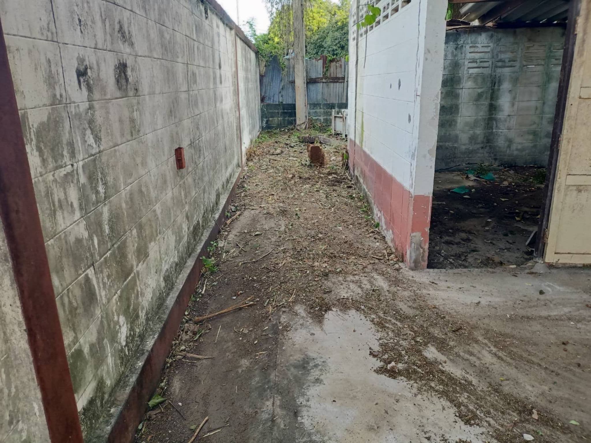Image - 2025-06-20T084231.970.jfif