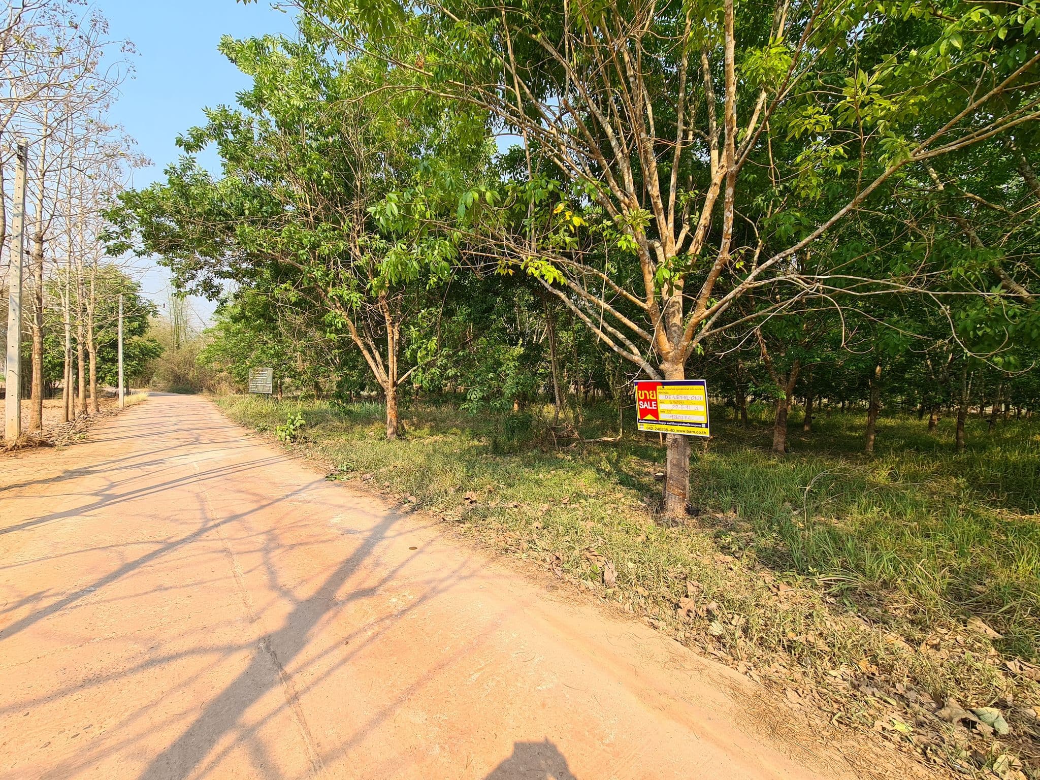 20230404_153242.jpg
