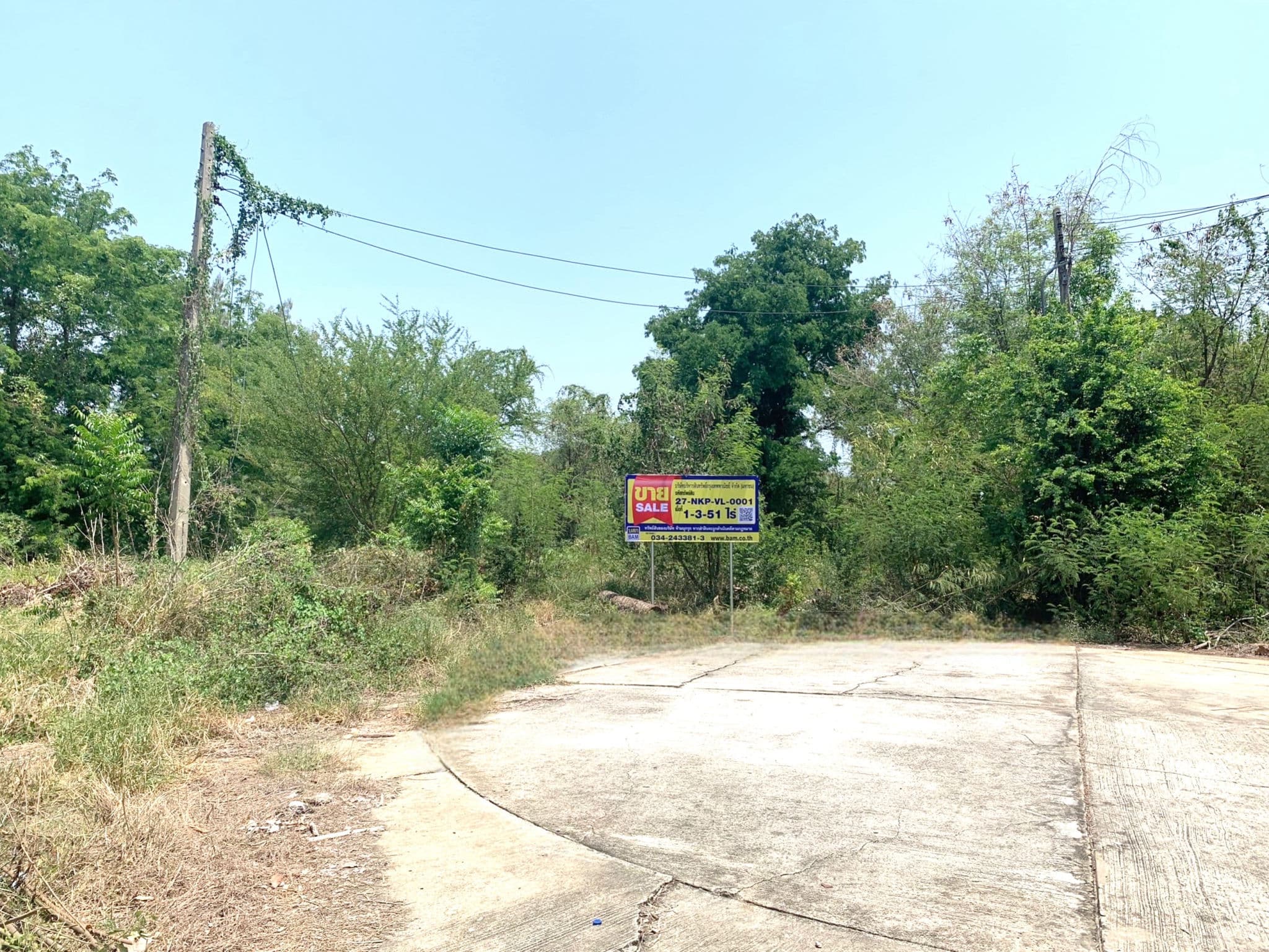 ce16df4d-1.jpg