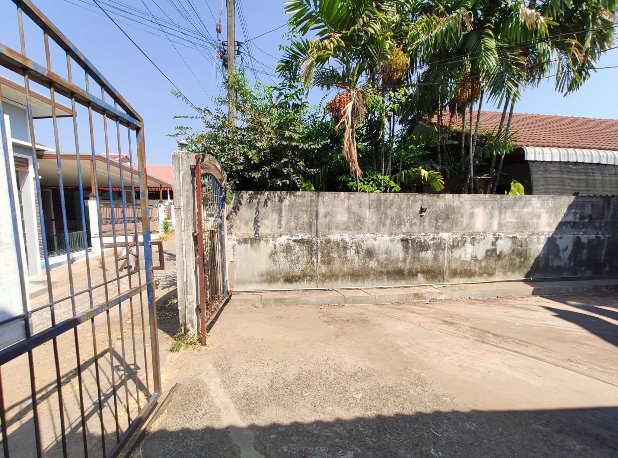 425f3555-139827-0.jpg