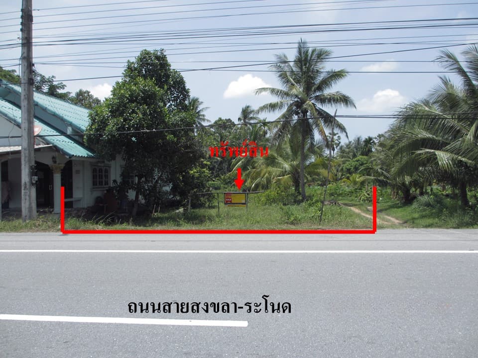 b2112d4d-สไลด์5.jpg