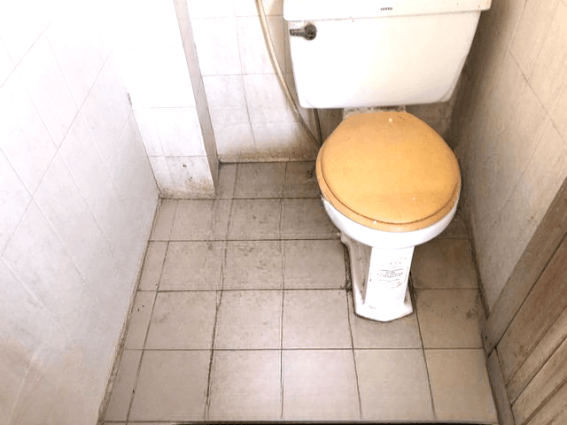 image (17).png