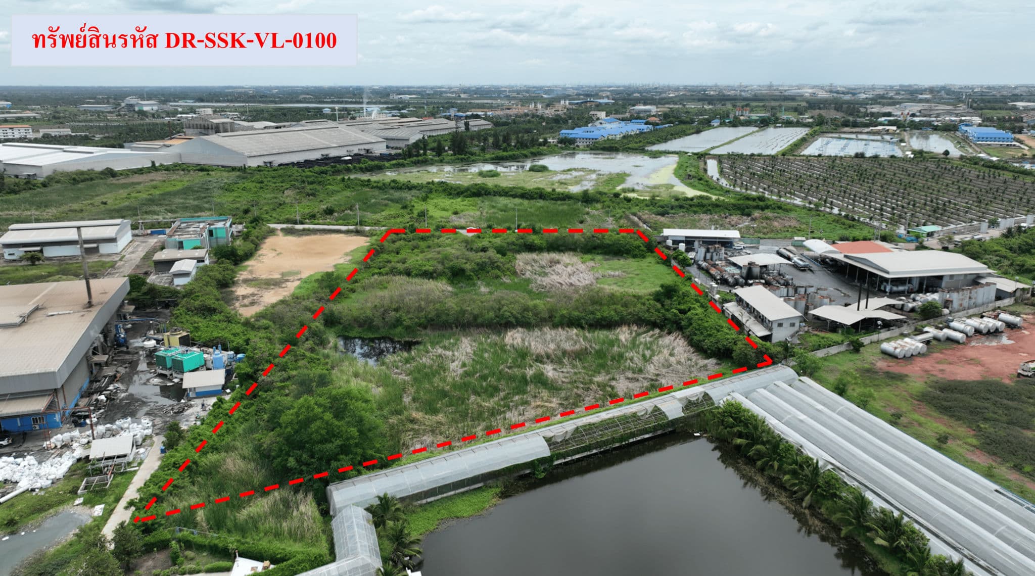 0a3a653d-DR-SSK-VL-0100 (2).png