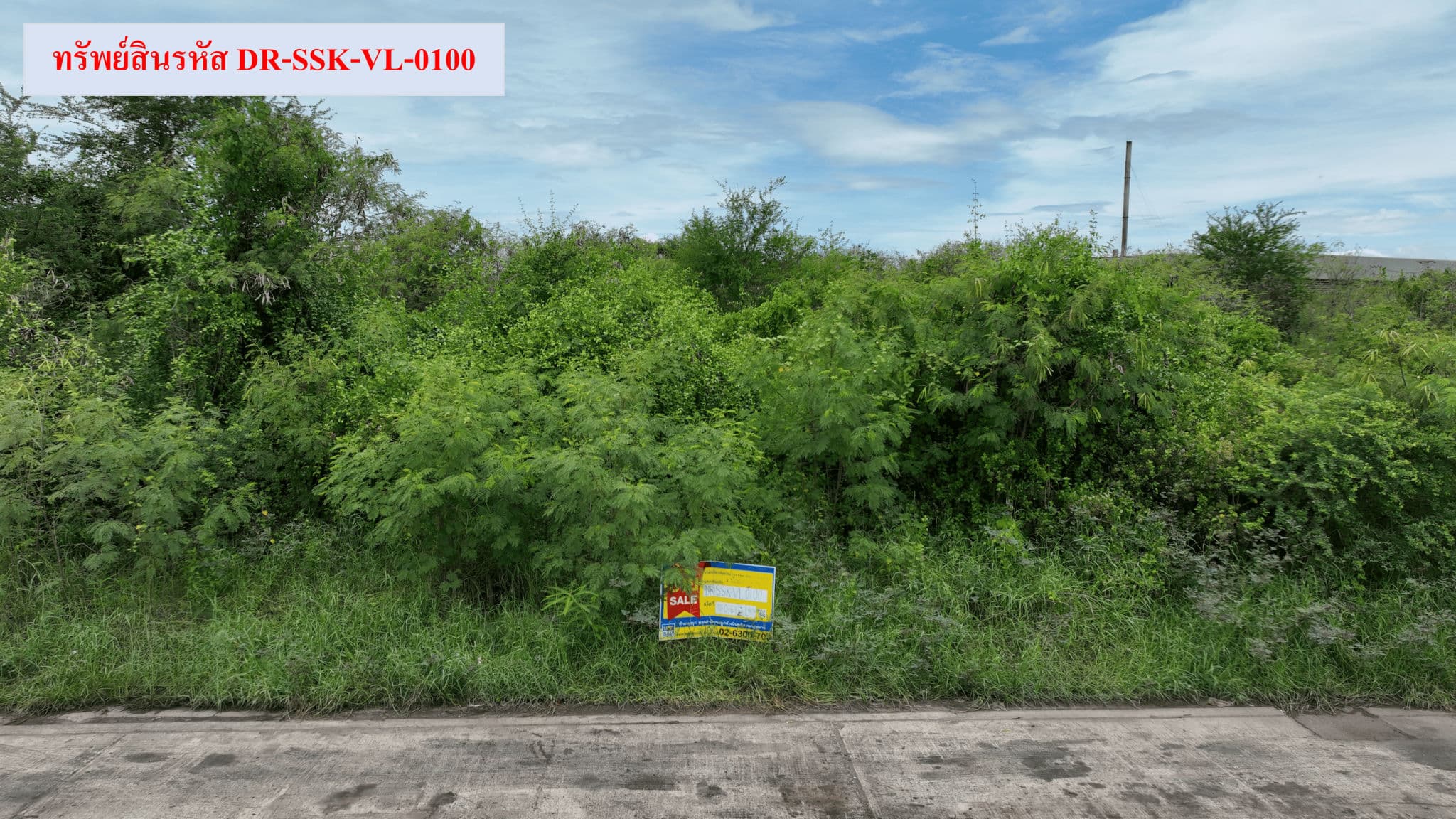bb473481-DR-SSK-VL-0100 (4).png