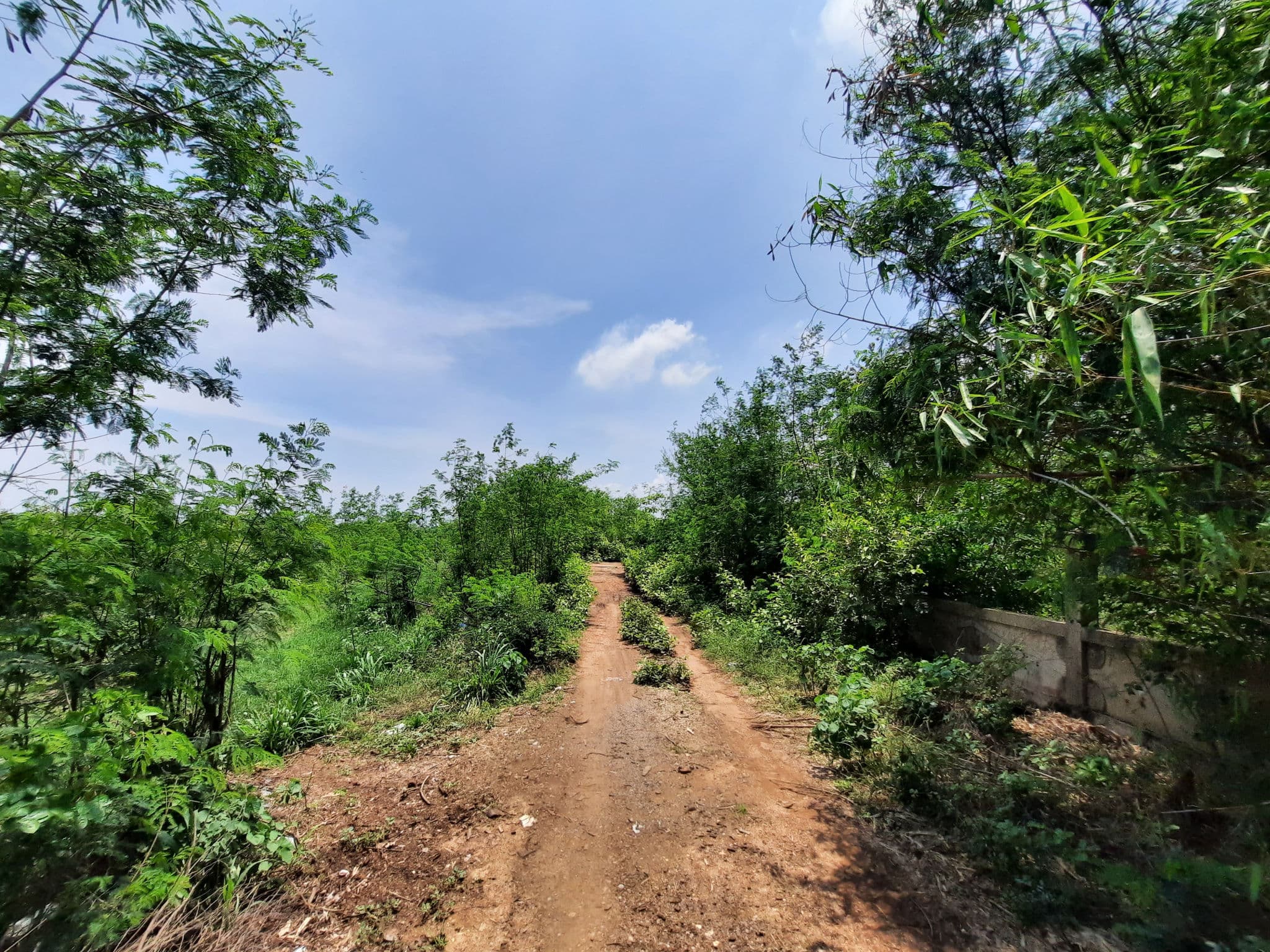 DTNONVL0100 4-68 (29).jpg