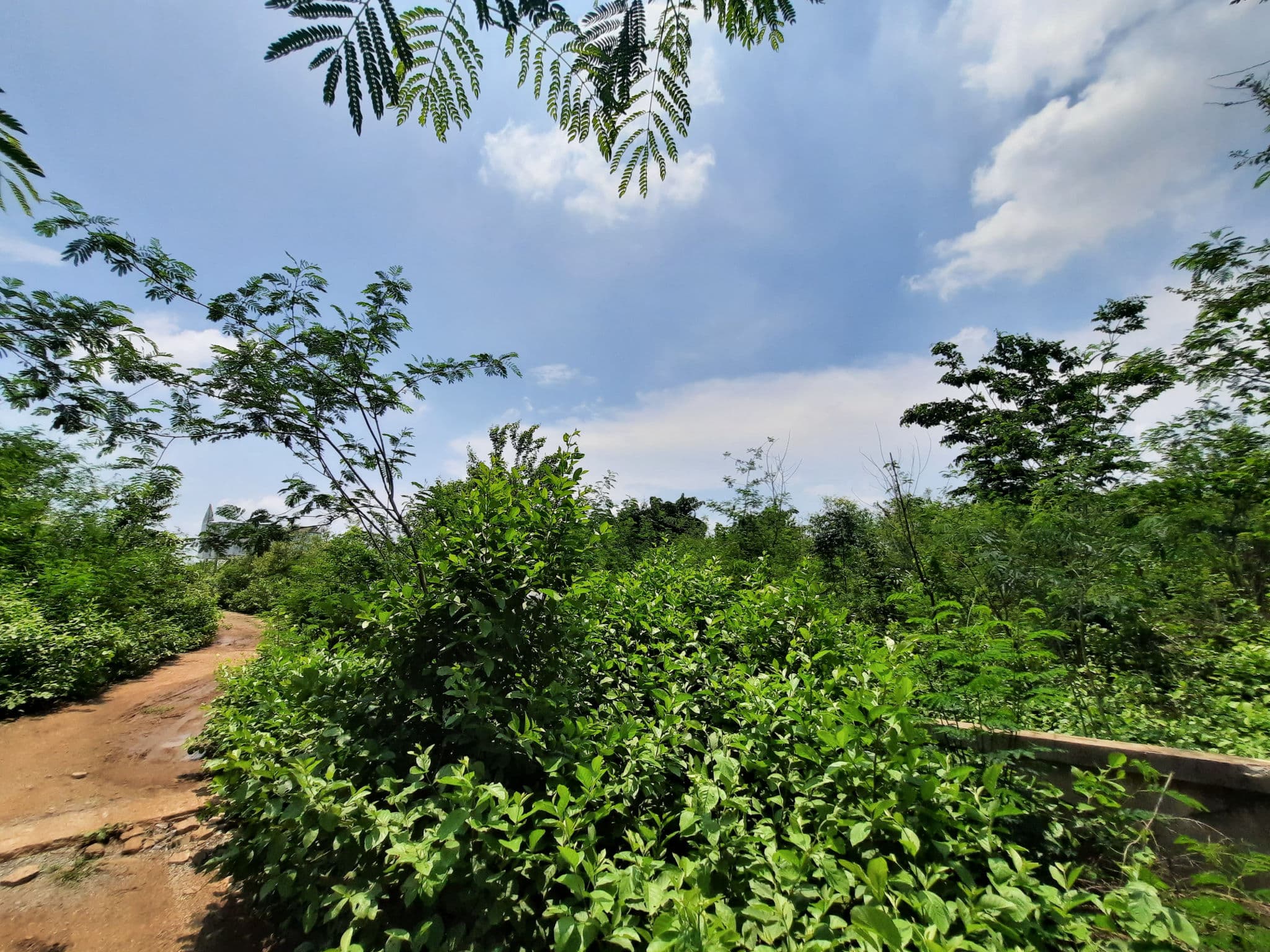 DTNONVL0100 4-68 (32).jpg