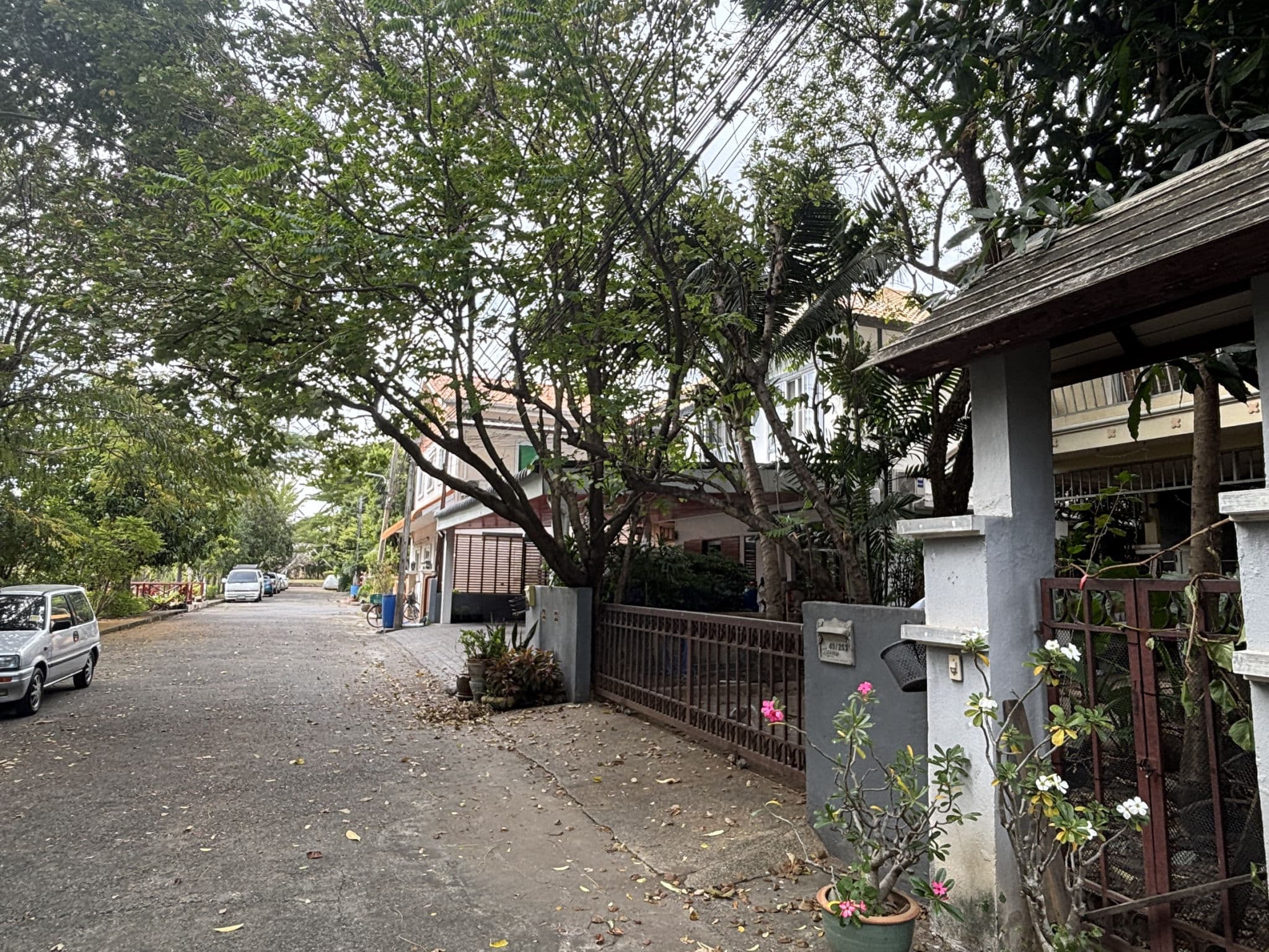 S__120397829.jpg