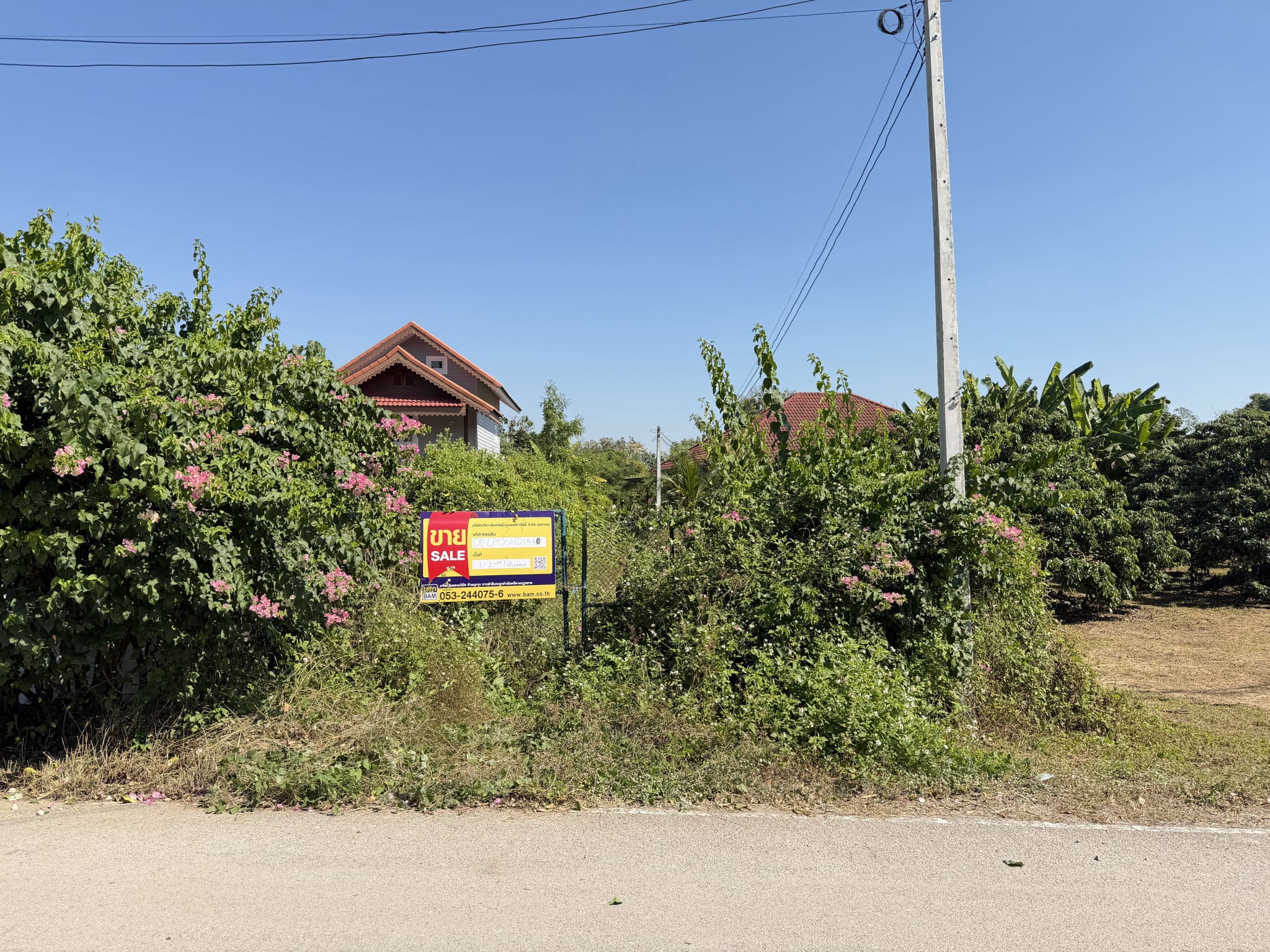 696875ac-152719-0.jpg