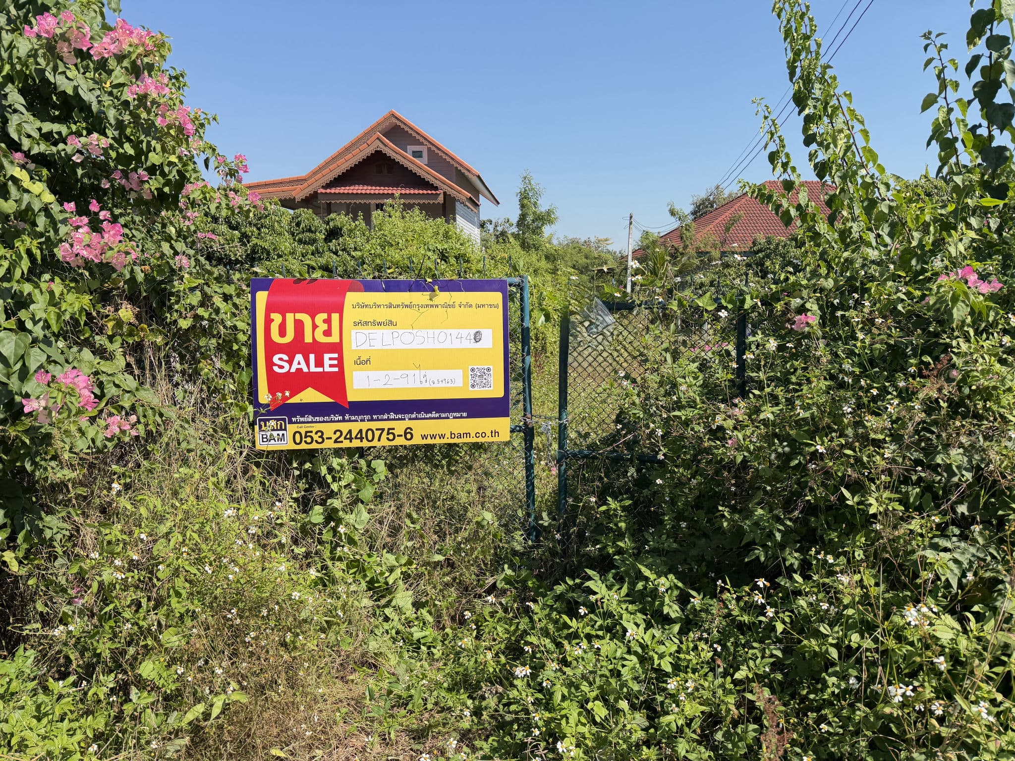696875ac-152719-4.jpg