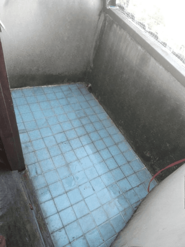 image (13).png