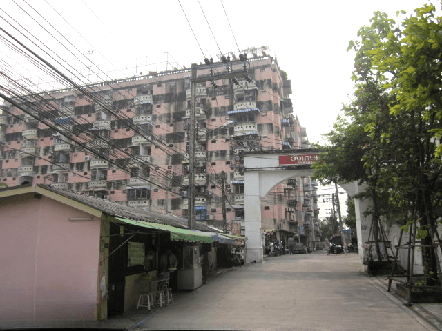 image (12).png
