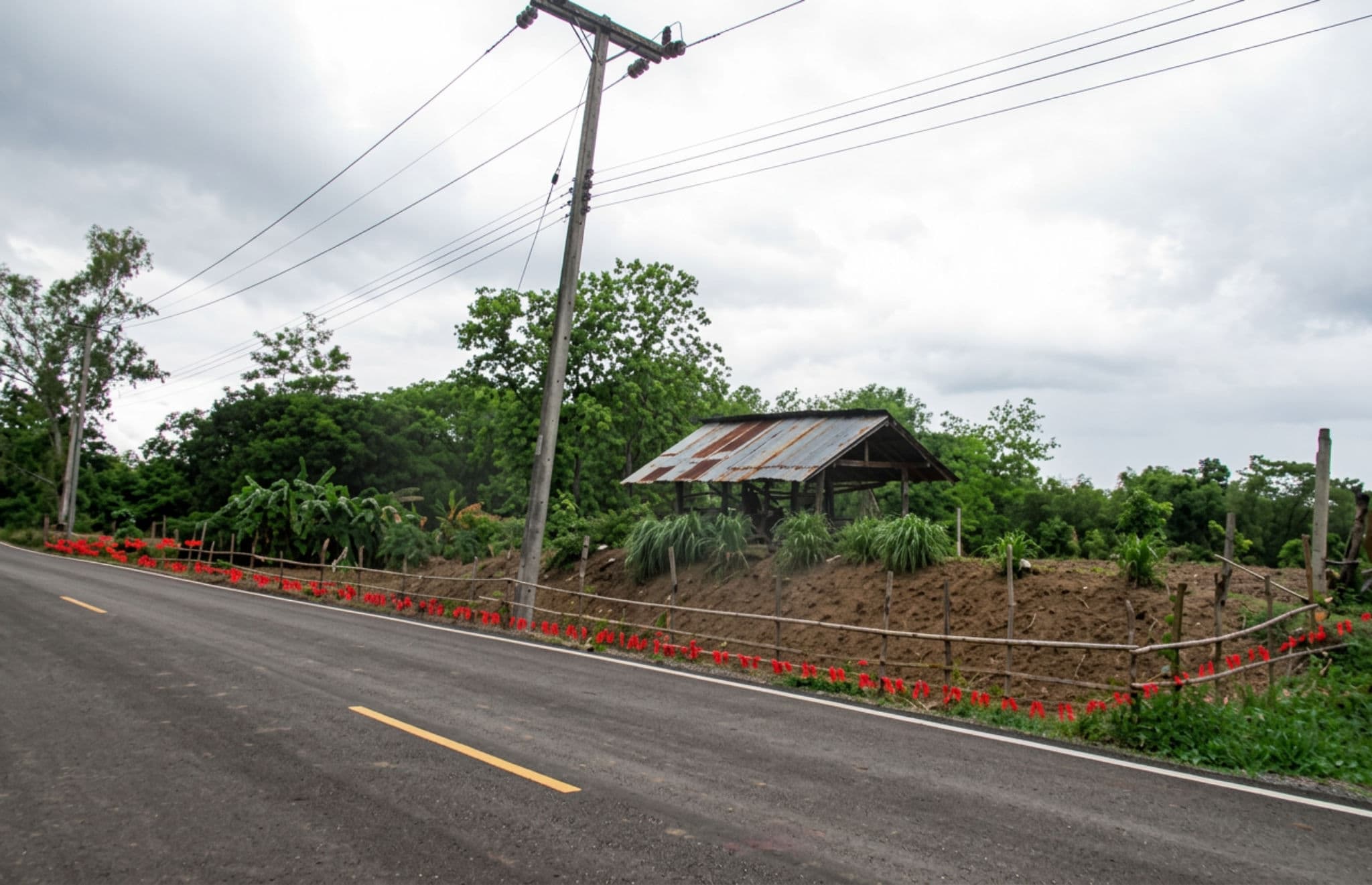 freepik_0001 (57).png