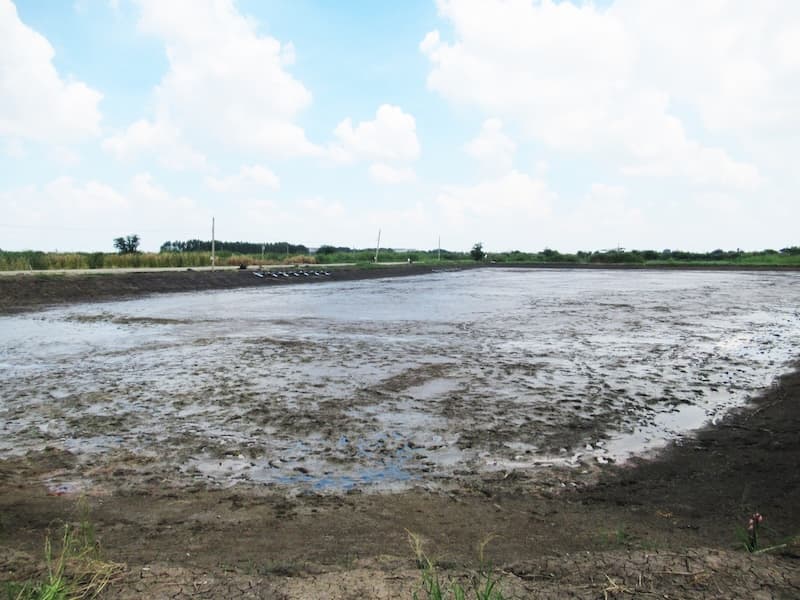 fcd63f5b-143277-4.jpg