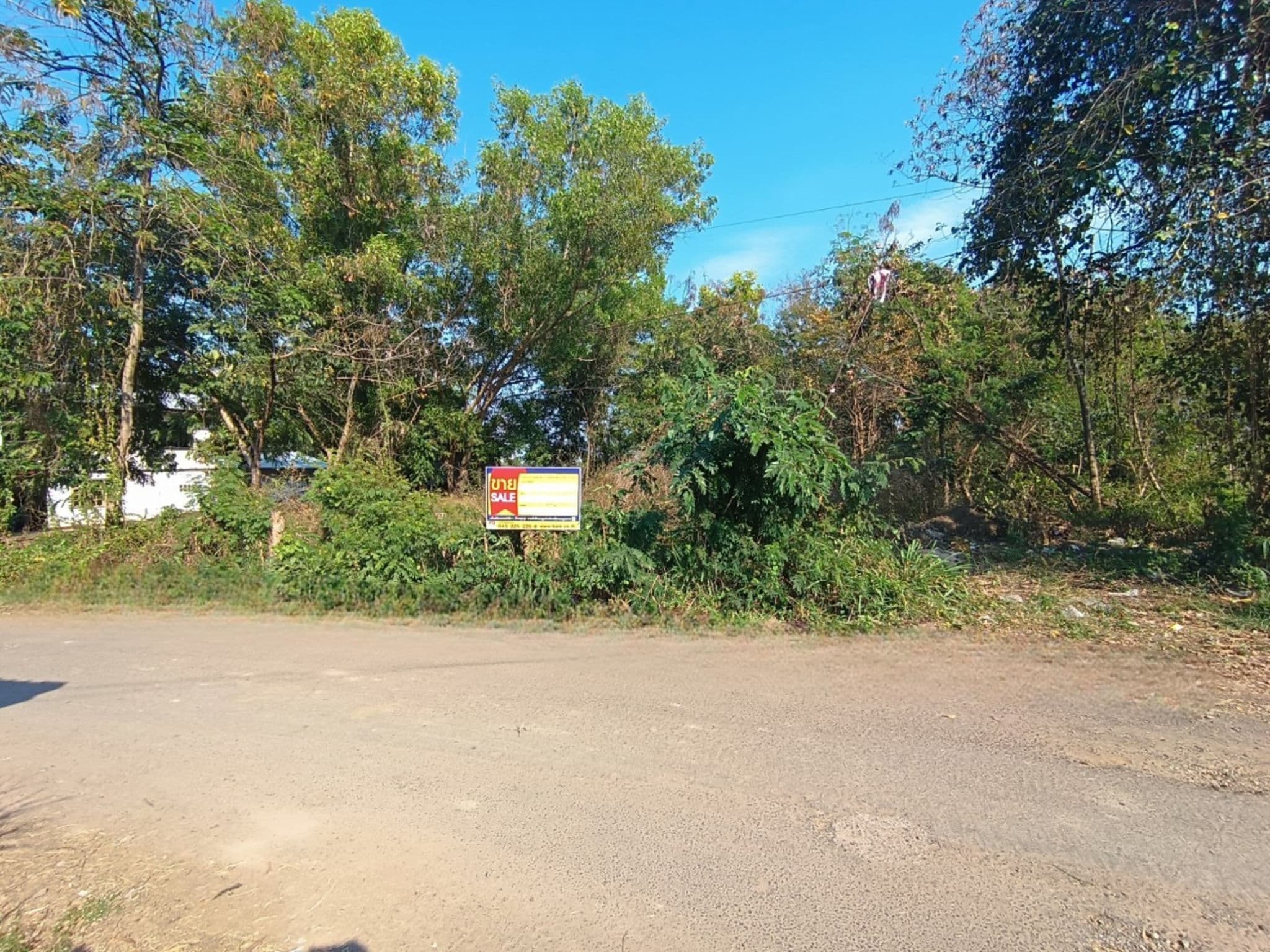 04e49ef6-12269.jpg