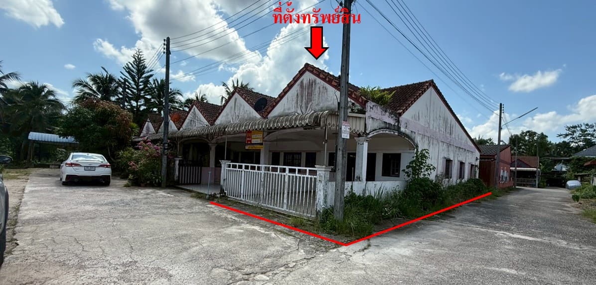 à¸à¸²à¸à¸à¹à¸²à¸¢.jpg