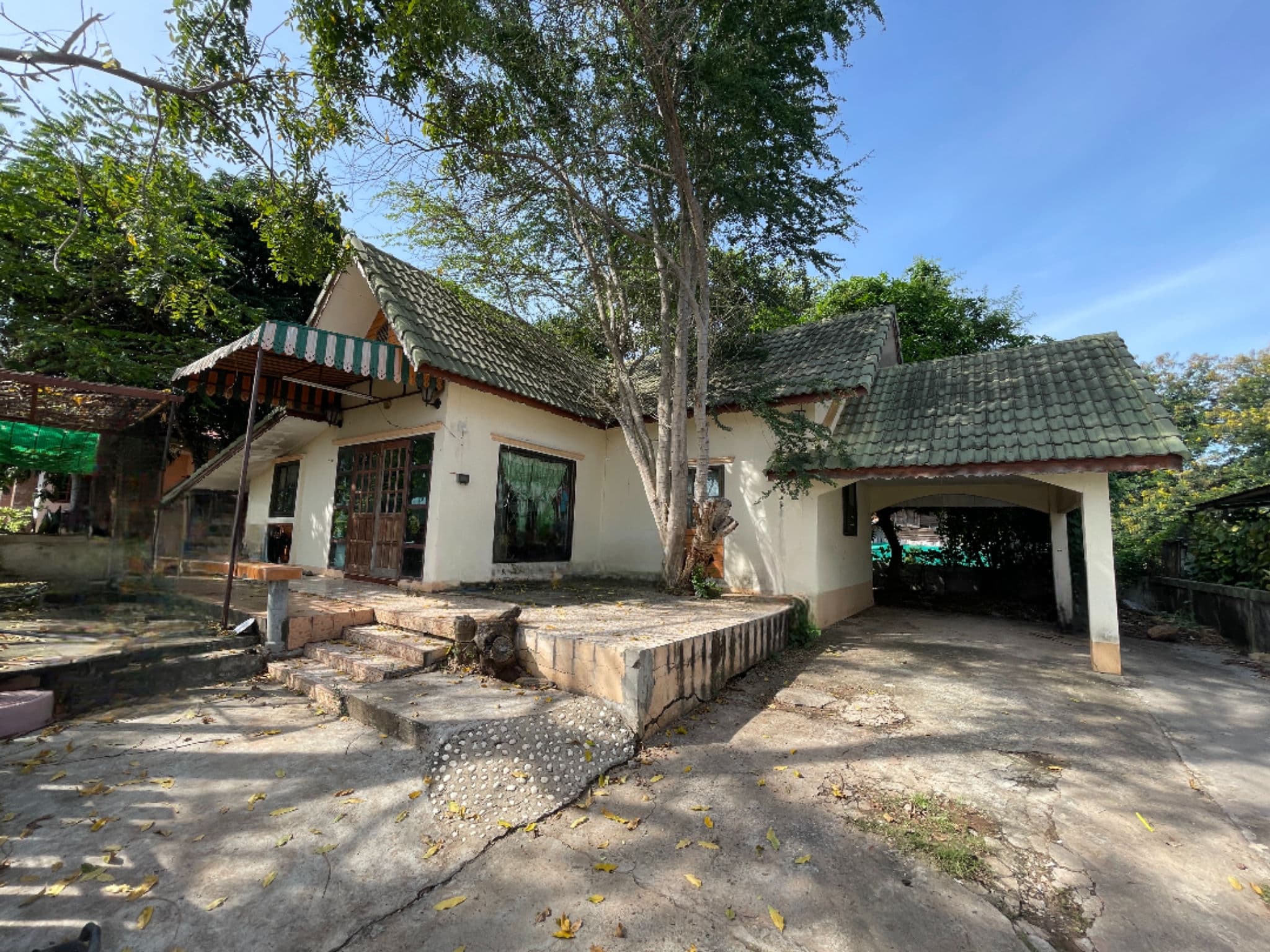 975e0d1e-144109-0.jpg