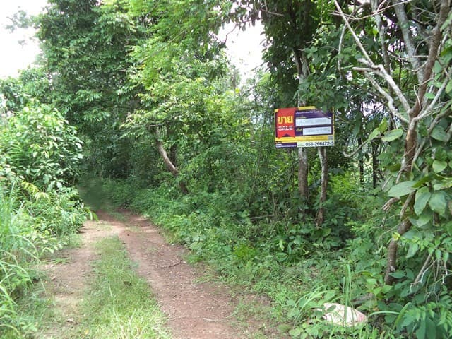 full_20201225140023.jpg