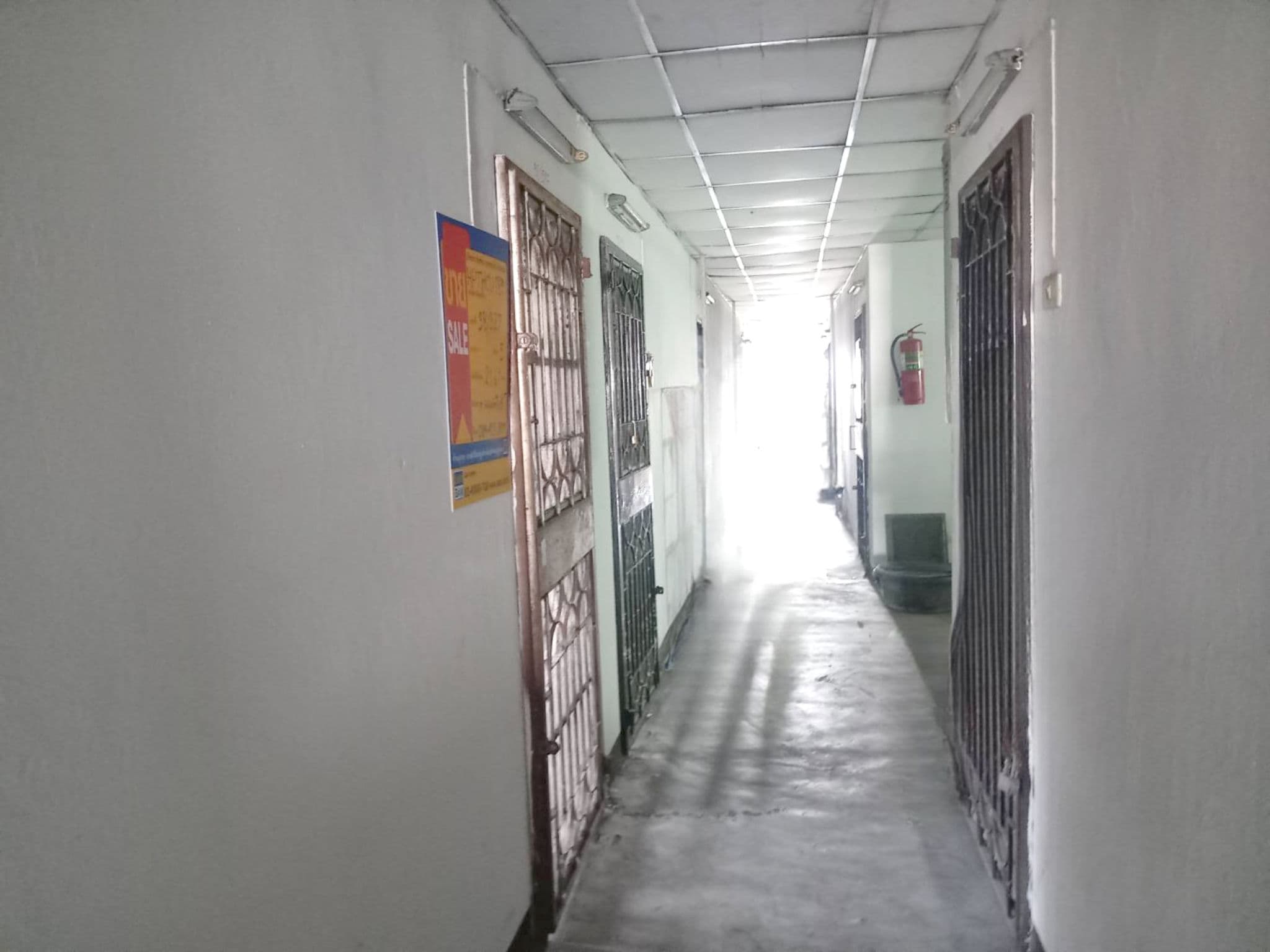 image (13).png