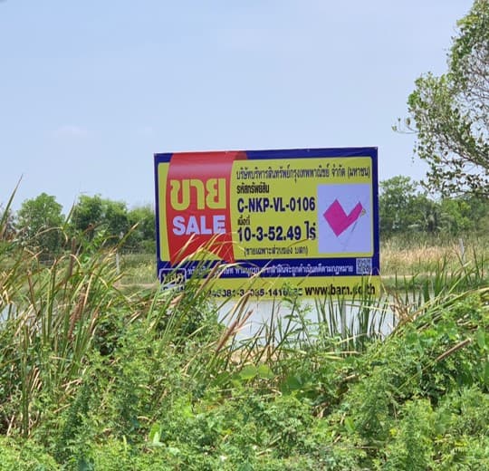 Picture4.jpg
