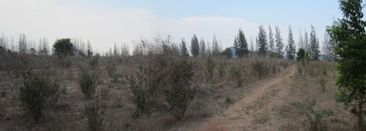 Picture3.jpg