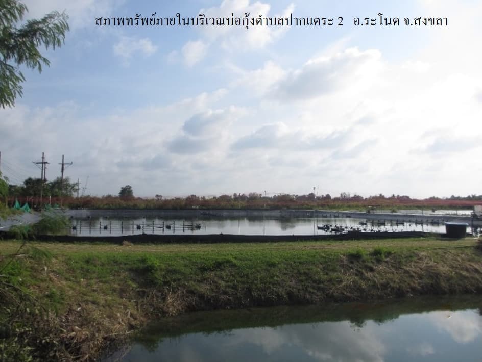 full_20200203162211.jpg