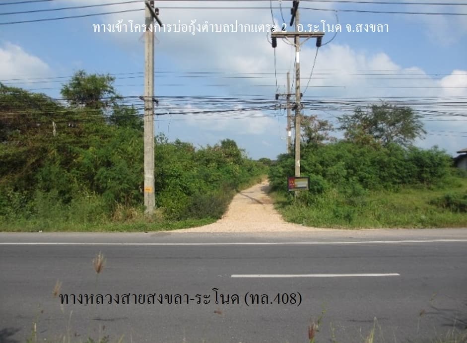 full_20200203162159.jpg