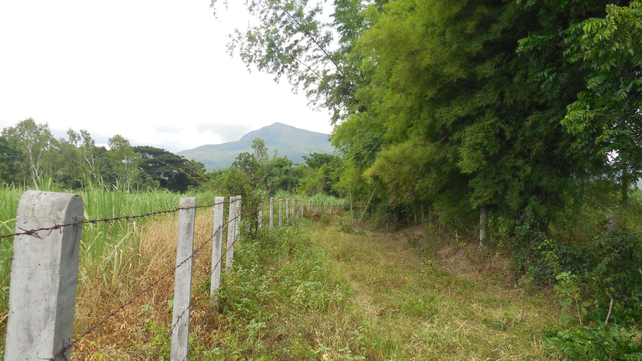 DSCN4325.JPG