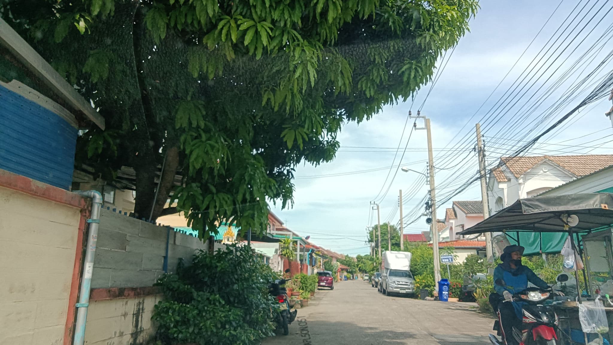 IMG20250918100647.jpg