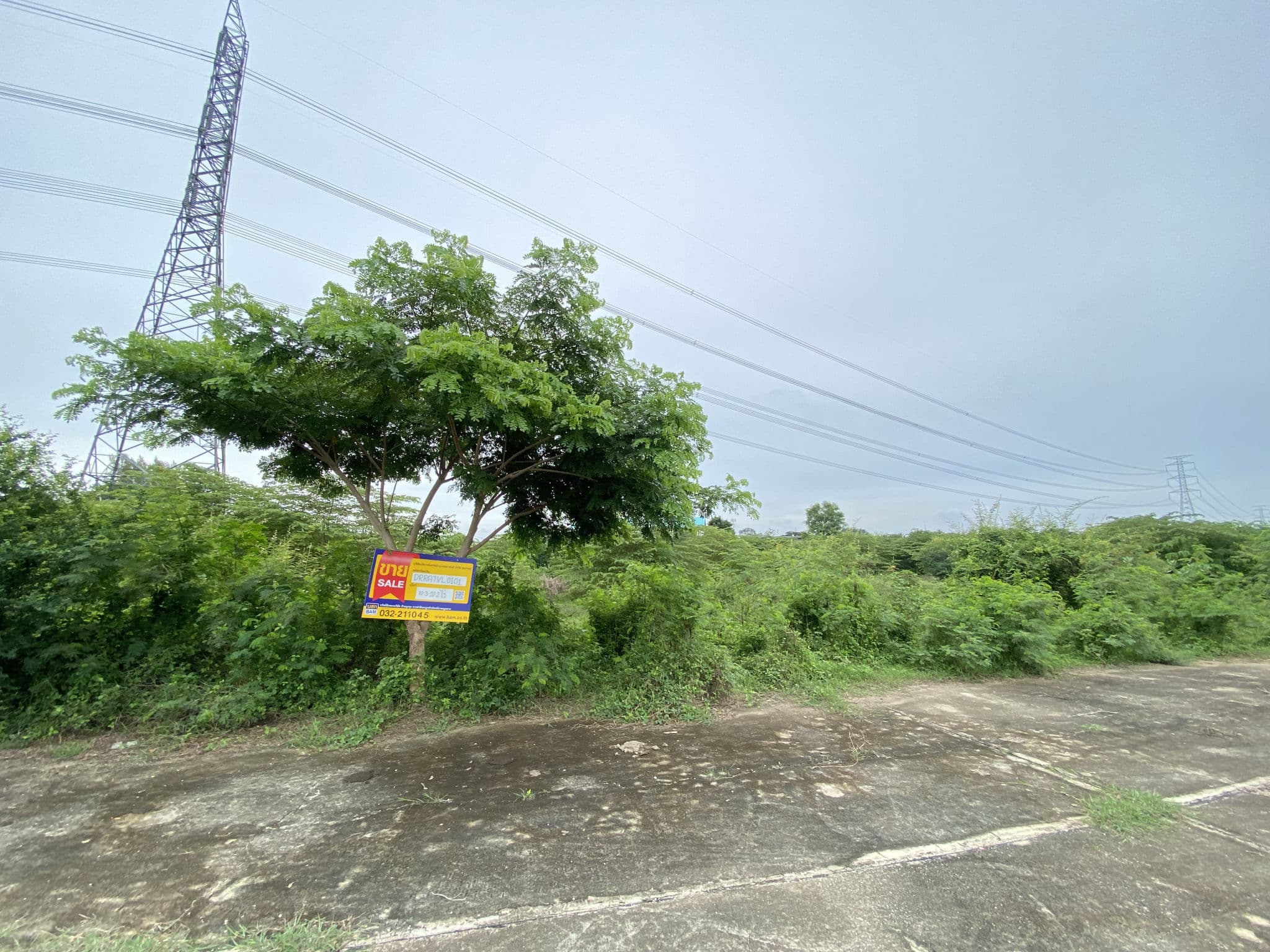 DRRATVL0100 (114).jpg
