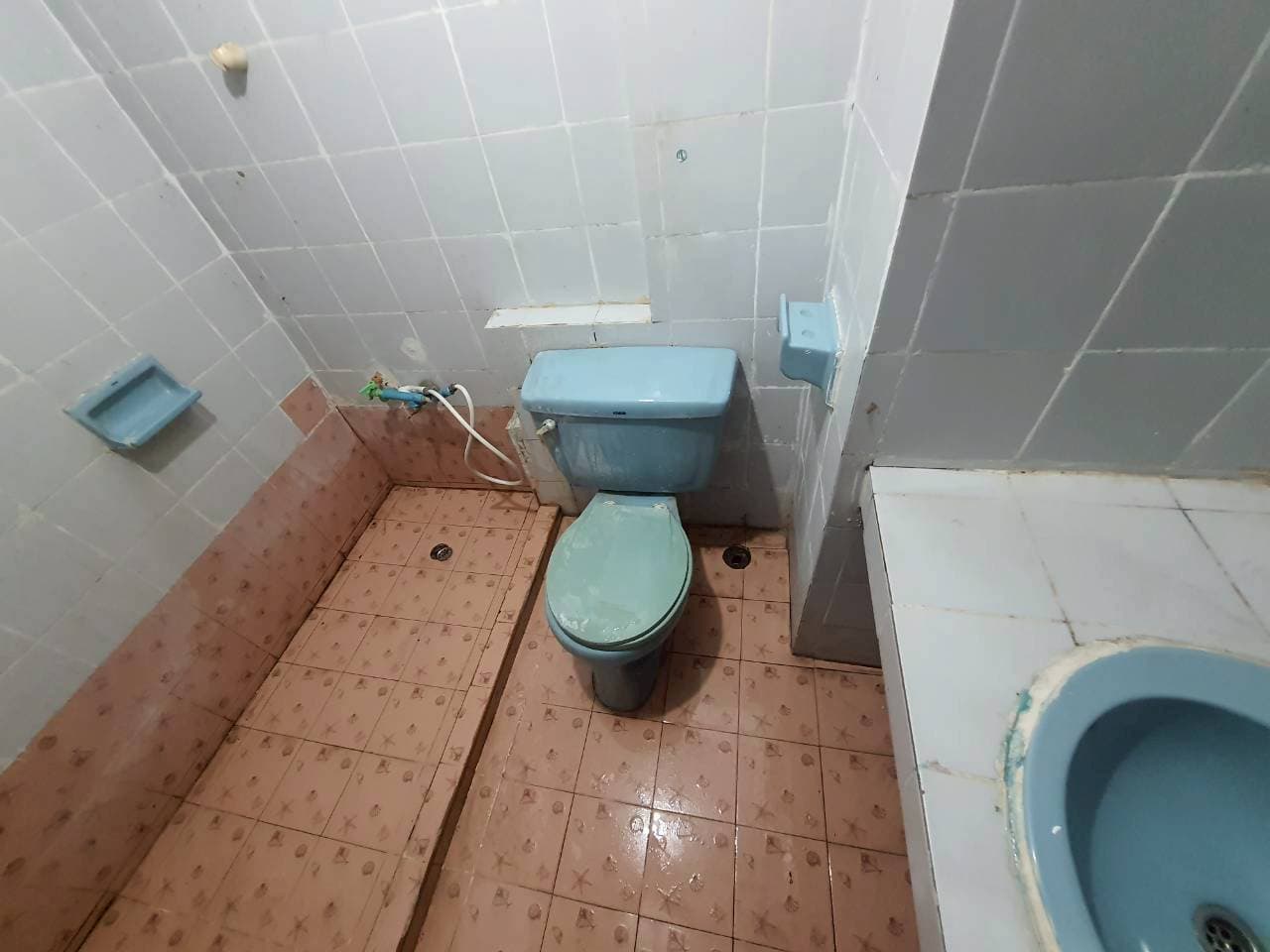 1783471318249.jpg