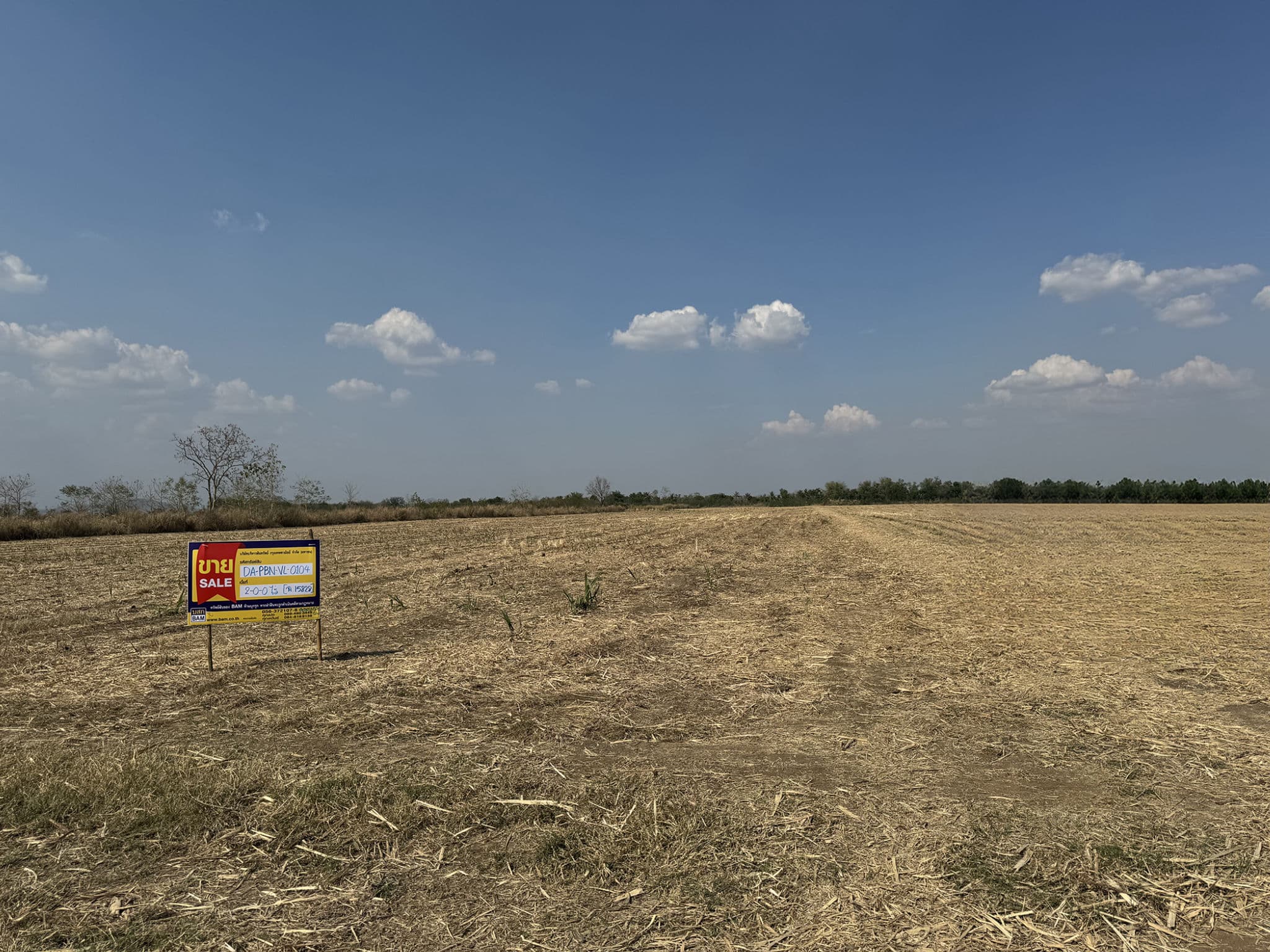 6a598980-29388-1.jpg