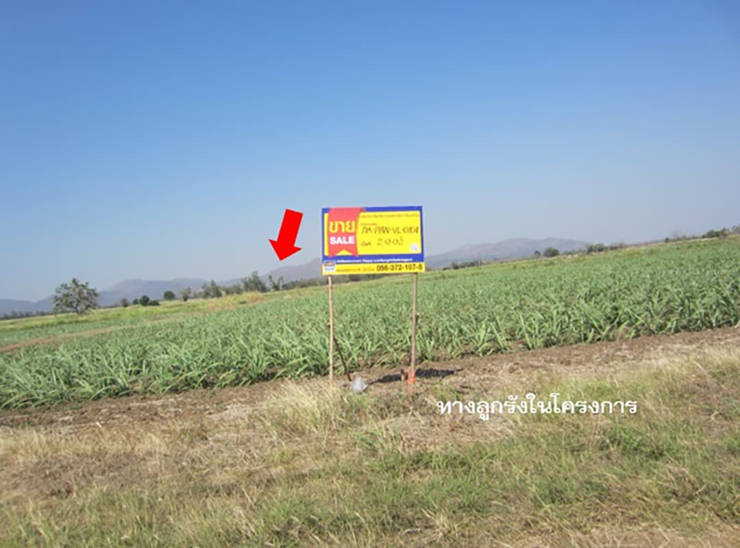 full_20170216173624.jpg