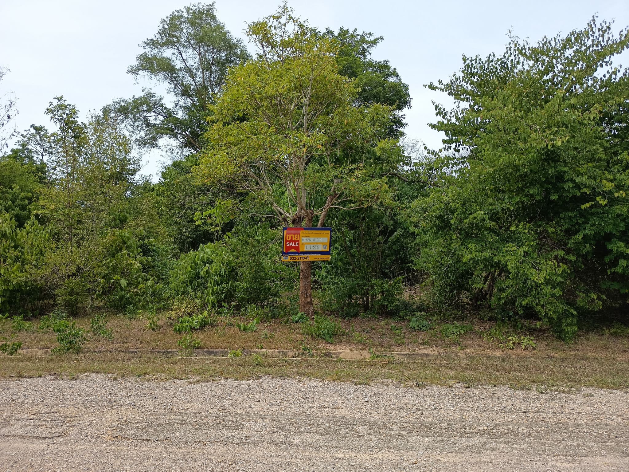 IMG_20250715_104730.jpg