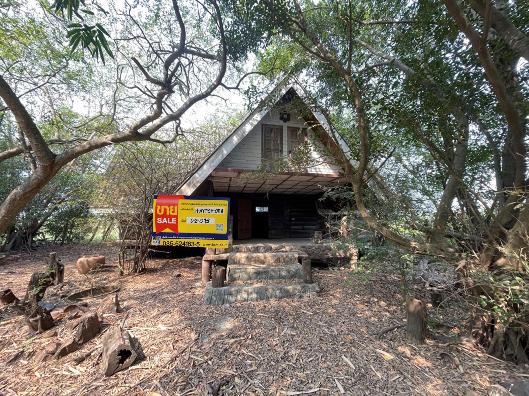 Picture1.jpg