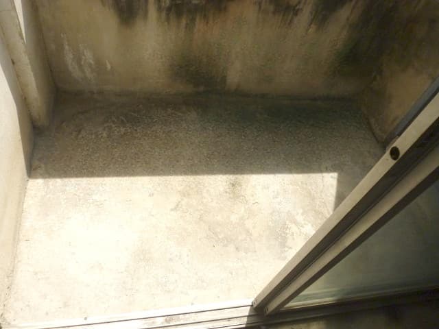 full_20200418133354 (1).jpg
