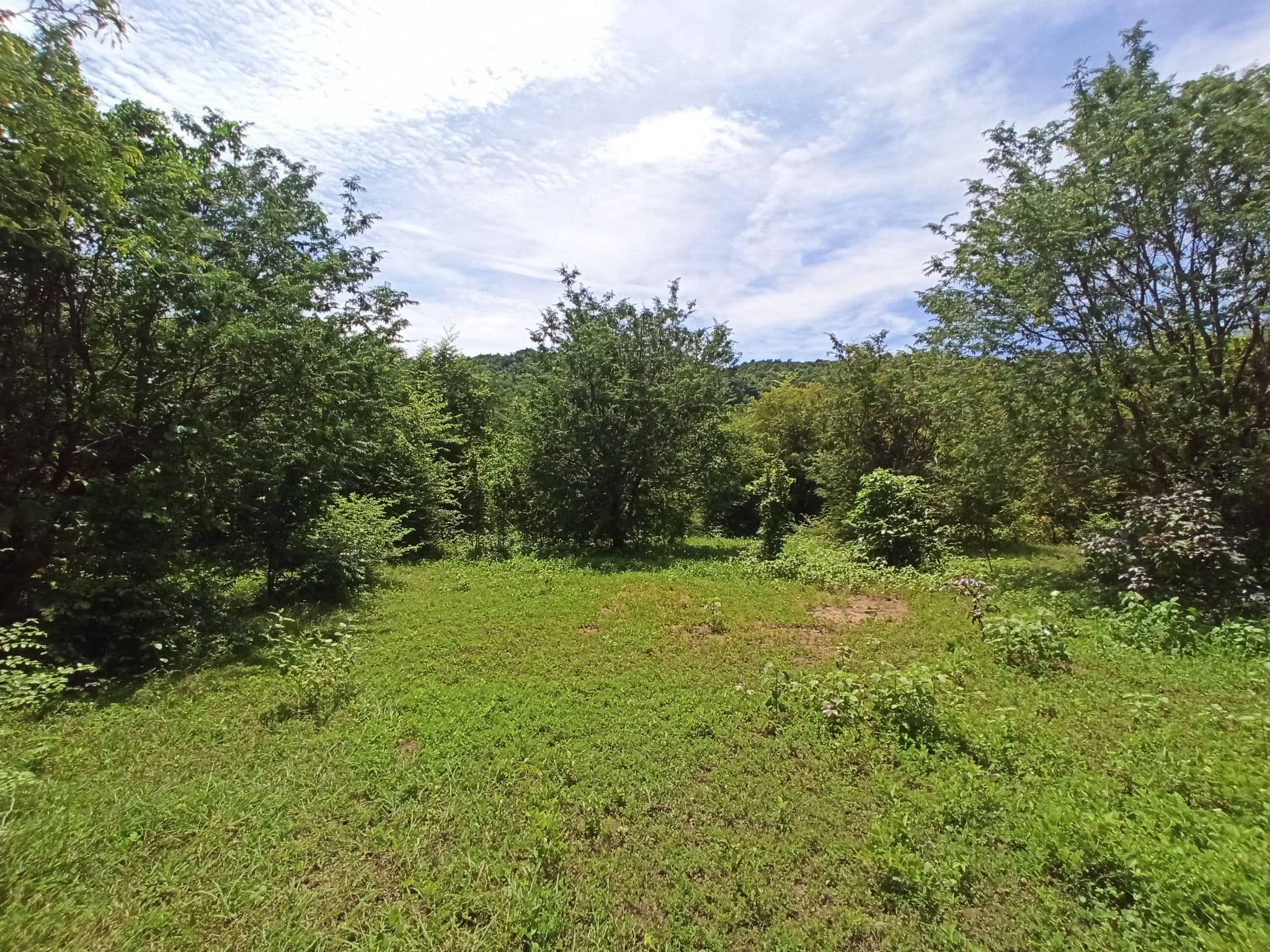 IMG_20240808_134644.jpg