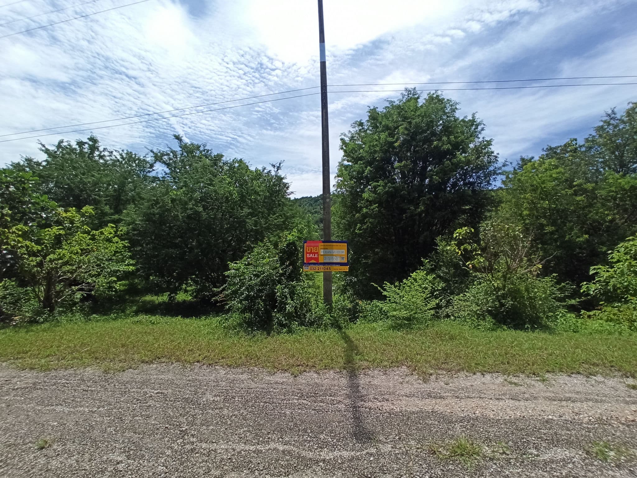 IMG_20240808_135330.jpg