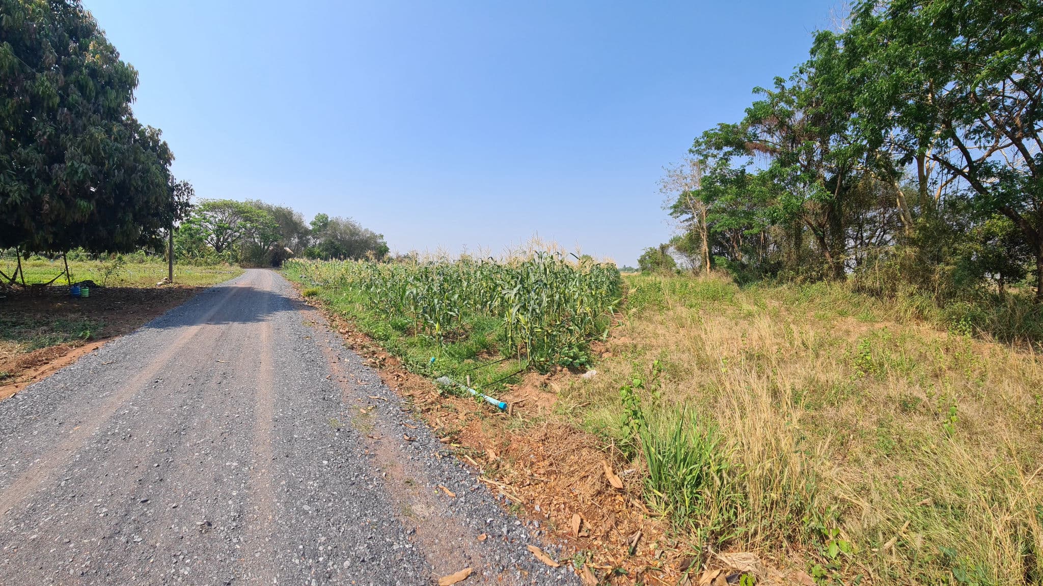 2fd7b90c-20230330_144826.jpg